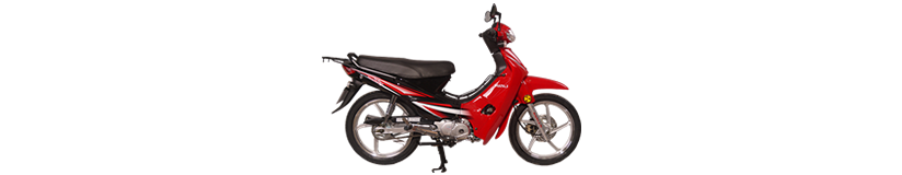 Lifan TR150T-9R Scooter yedek Parça