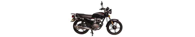 Lifan Lion 125 Yedek Parça