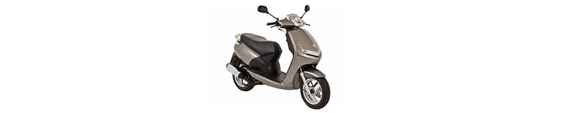 Peugeot Vivacity 125 Yedek Parça