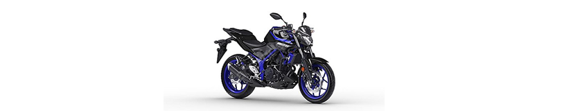 Yamaha MT 25 Yedek Parça