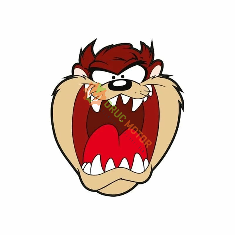 60 x 100 mm STİCKER 10'LU